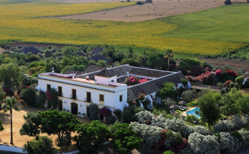 Hacienda De San Rafael Andrew Forbes Andalucia Diary 9